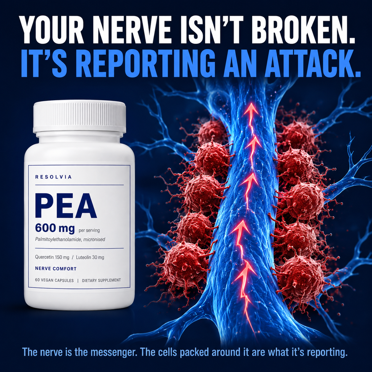 The nerve is the messenger — reporting an attack that is still happening